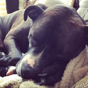 Meet your Posher, Julie